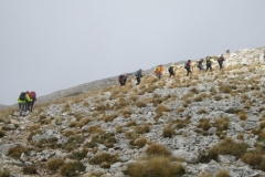 IMG_0276f