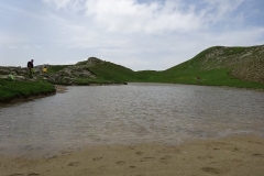 DSC01684