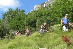 IMG_1921