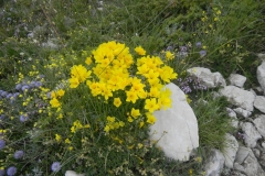 051