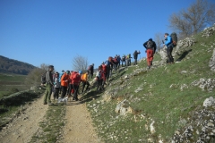 IMG_0762a