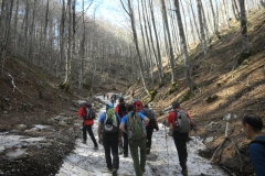 IMG_0783d