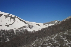 IMG_0796
