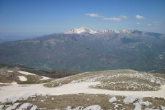 IMG_0809