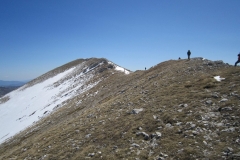 IMG_3834a