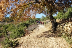 DSCF2315p