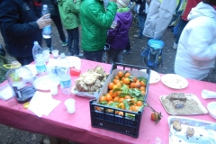 DSCF2542