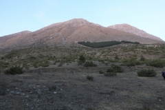 DSCF2615
