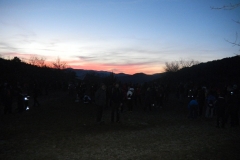 DSCF2640