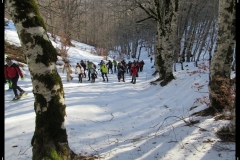 DSCN1251a
