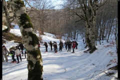DSCN1251b