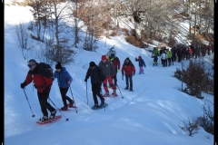 DSCN1251m
