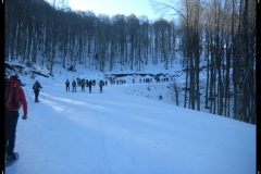 DSCN1274
