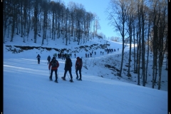 DSCN1275