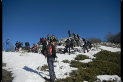 DSCN1292