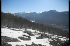 DSCN1300