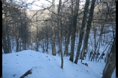 DSCN1324