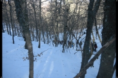DSCN1326