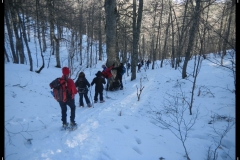 DSCN1327