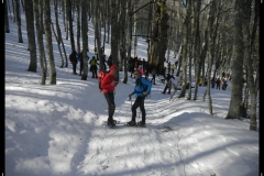 DSCN1332