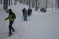 IMG_0407