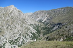IMG_3218
