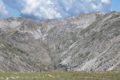 IMG_3231