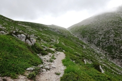 DSC05200