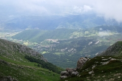 DSC05234