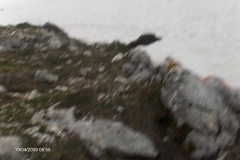 al-rifugio-con-la-neve-19apr2009-016