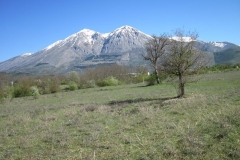 IMG_0807