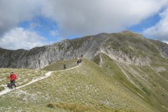 IMG_6786