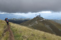 IMG_6803