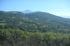 DSCN1581