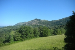 DSCN1587