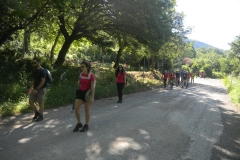 DSCN1595