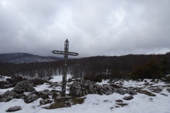DSC01596