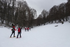 DSC01604