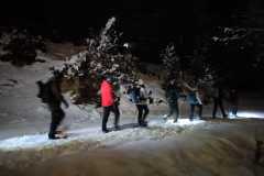 IMG-20250216-WA0046