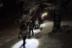 IMG-20250216-WA0050