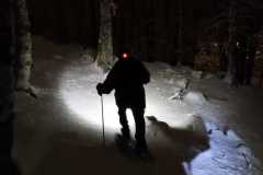 IMG-20250216-WA0053