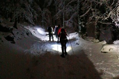 IMG_20250215_201220