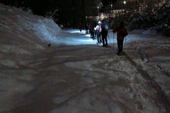 IMG_20250215_203145