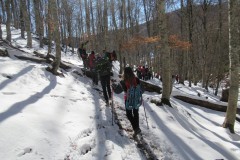 IMG_2045
