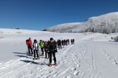 IMG_20230305_091920