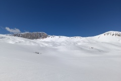 IMG_20230305_112037