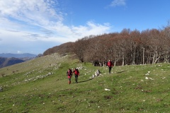 DSC04306