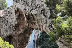 IMG-20240928-WA0015