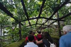IMG-20240929-WA0007