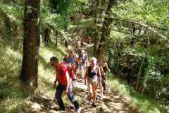 IMG-20240929-WA0042